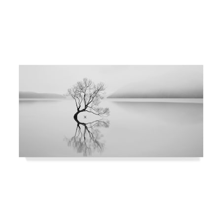 Trademark Fine Art Neville Jones 'Serenity' Canvas Art, 16x32 1X04510-C1632GG
